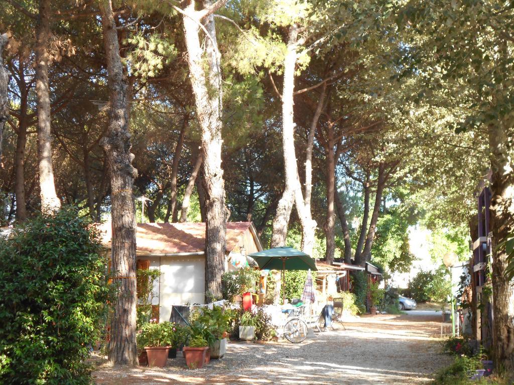 Iron Gate Marina3B Hotel Sarzana Buitenkant foto